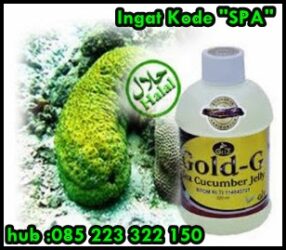 Obat Ginjal Bocor Untuk Anak